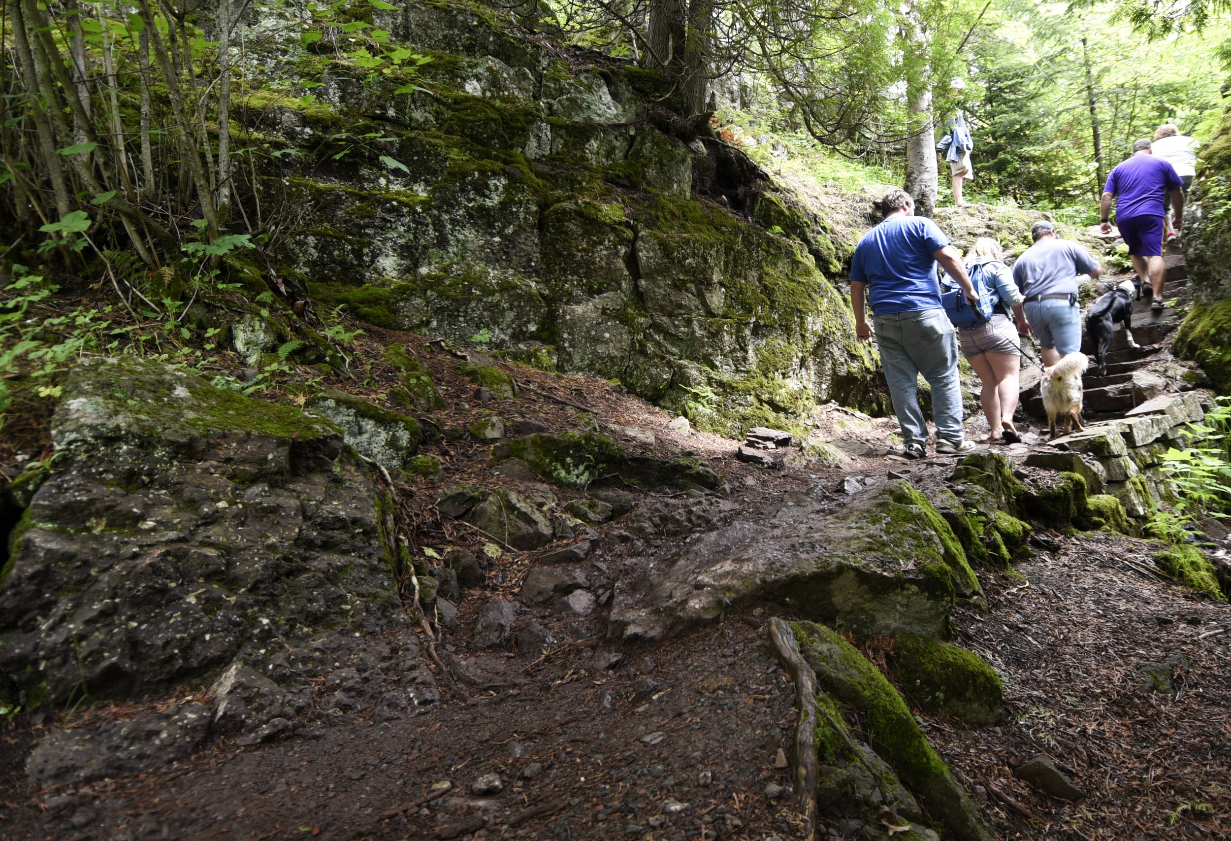  A family walks through Temperance River State Park.&nbsp; 