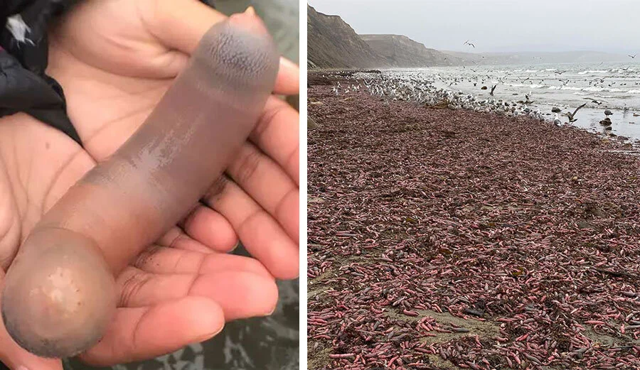 Can Kevin Costner See Other Dimensions? | January 2020