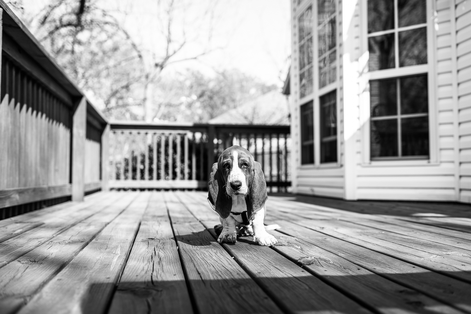 {Nikon D750, ISO 160, 35mm @ f/2.5, 1/1600