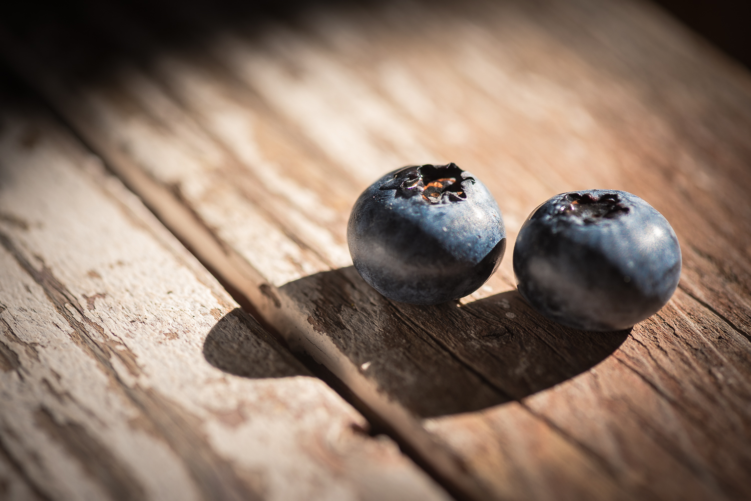 Nikon D750, ISO 100, 105mm macro, f/5.6, 1/160 sec. shot in natural light with a small white card camera left to bounce the light onto the berries.