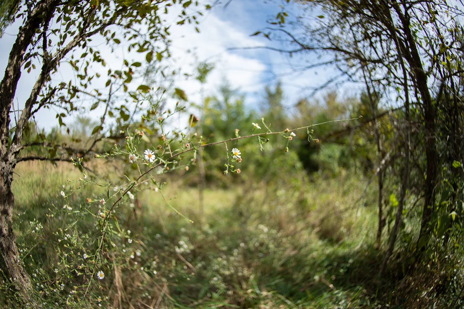 20181017-KMA_6720.jpg