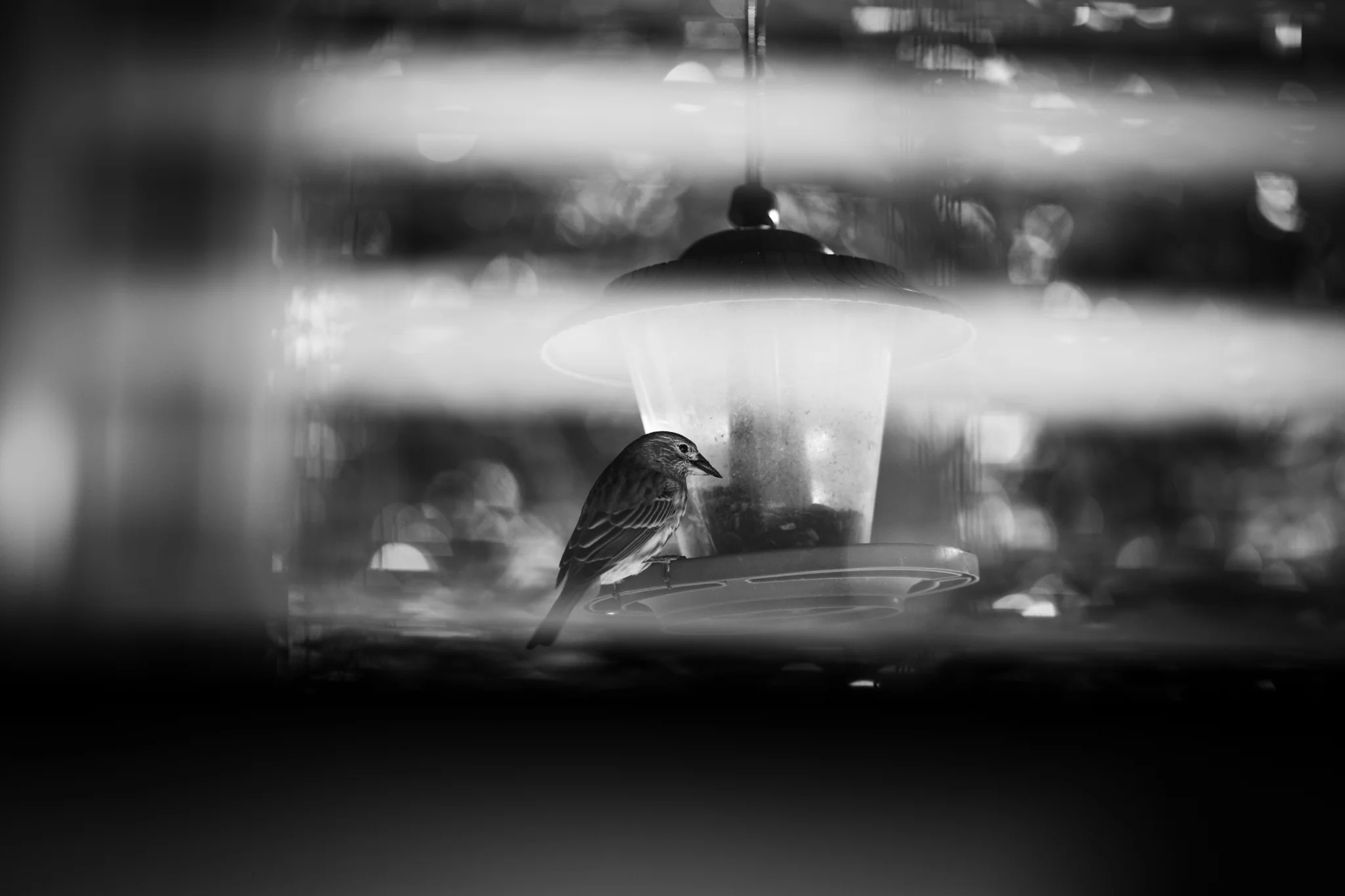 20181126-KMA_0366.jpg