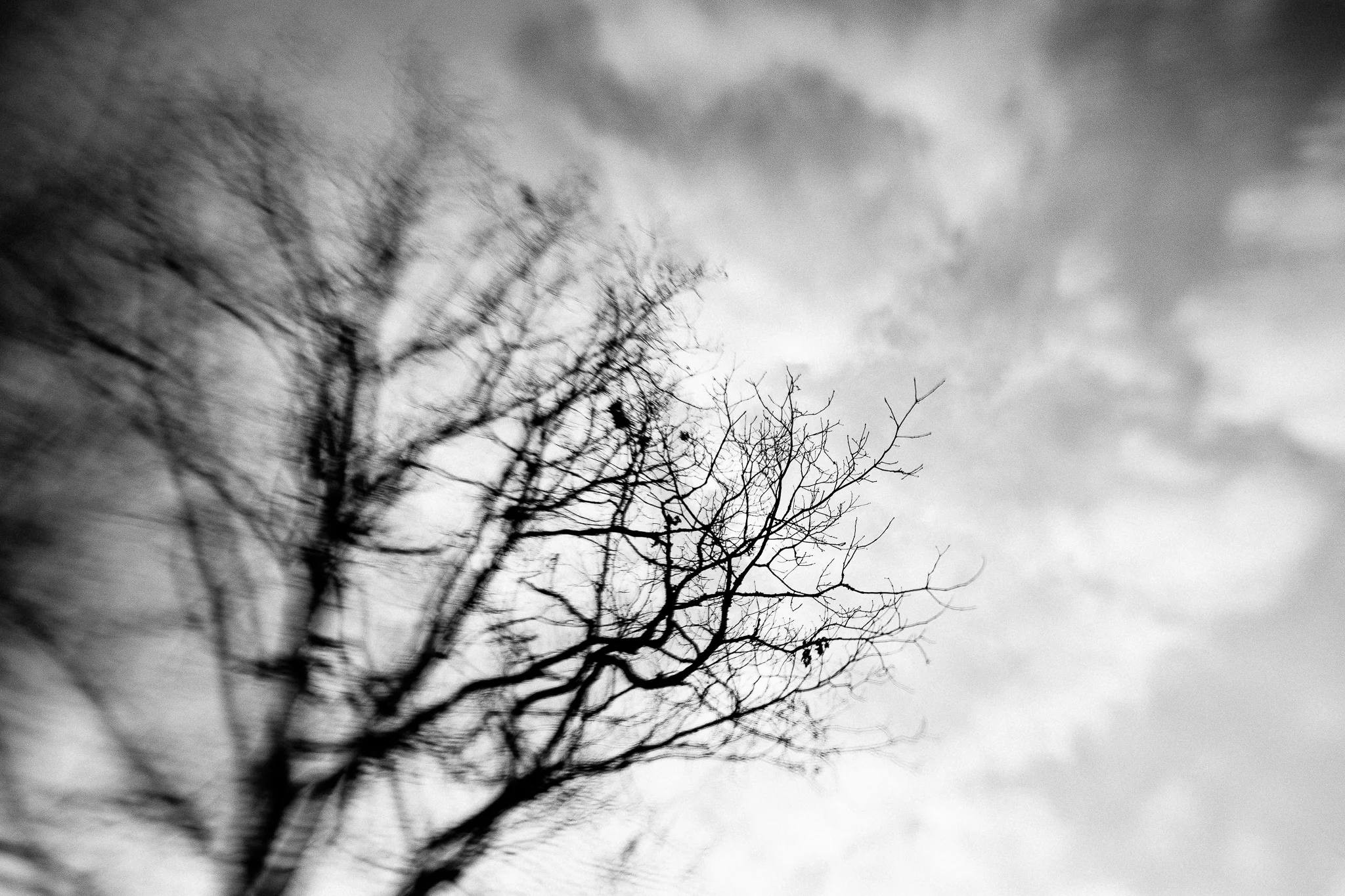 20181226-KMA_1519.jpg