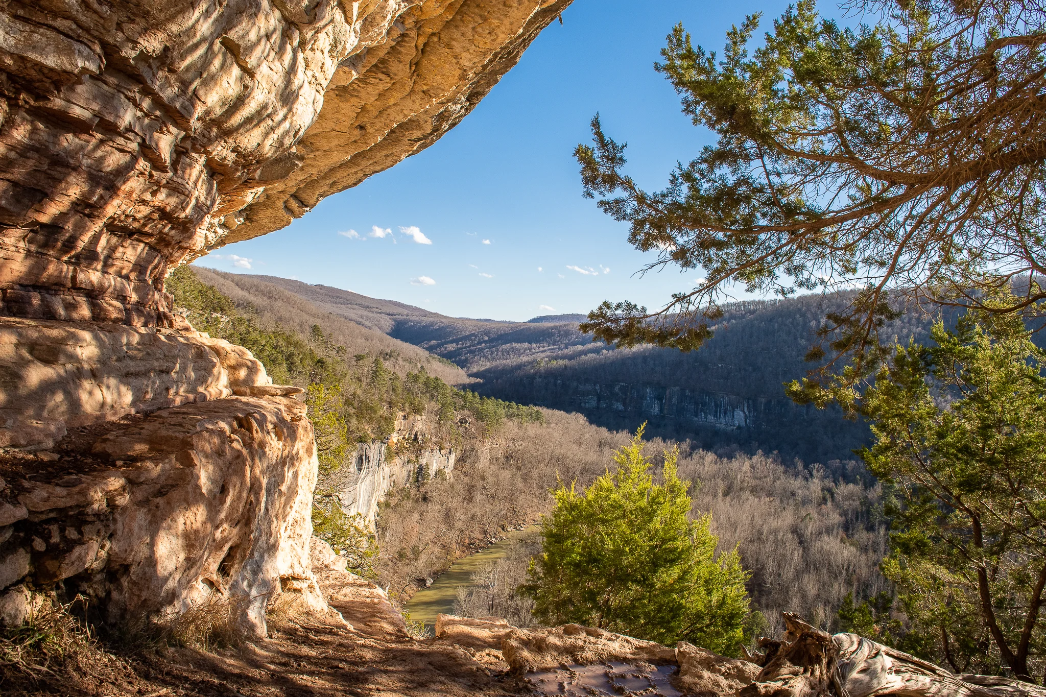 20190309-KMA_5936.jpg
