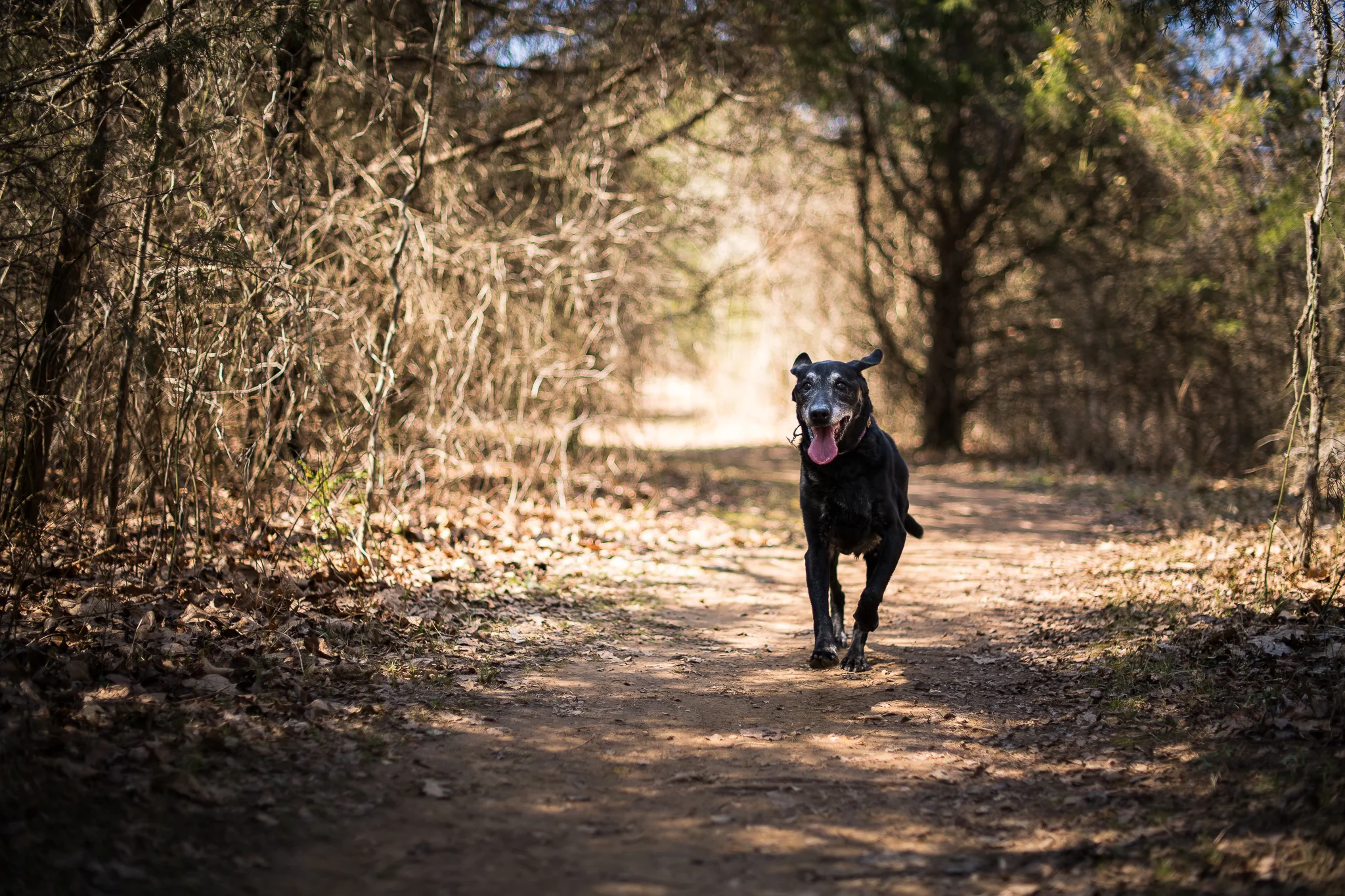 20190318-KMA_4571.jpg