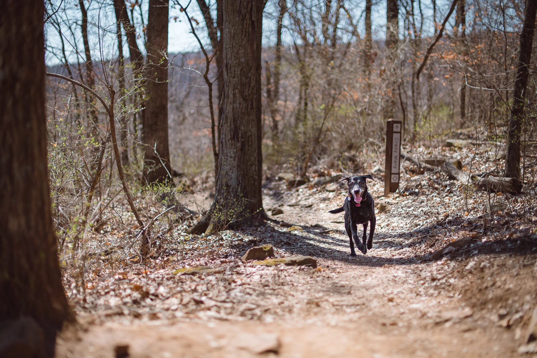 20190318-KMA_4683.jpg