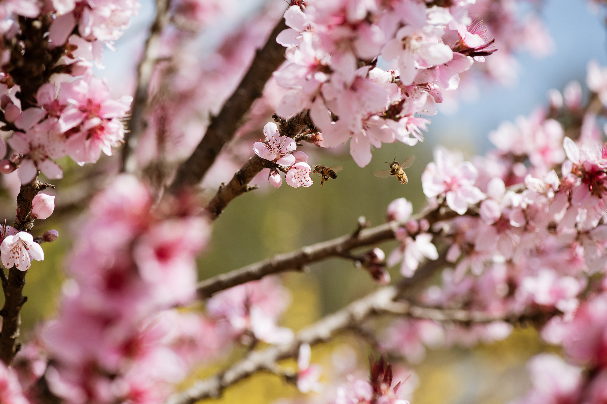 20190326-KMA_4962.jpg