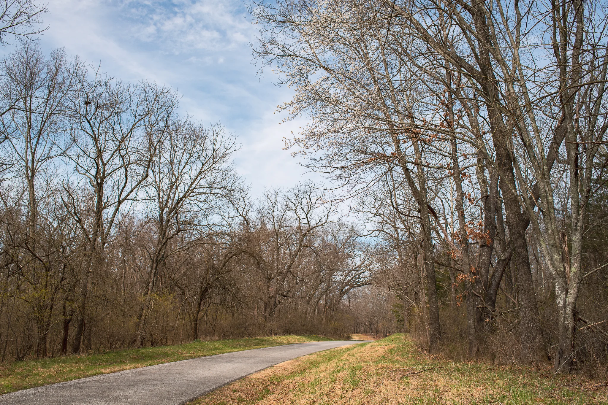 20190327-KMA_5115.jpg