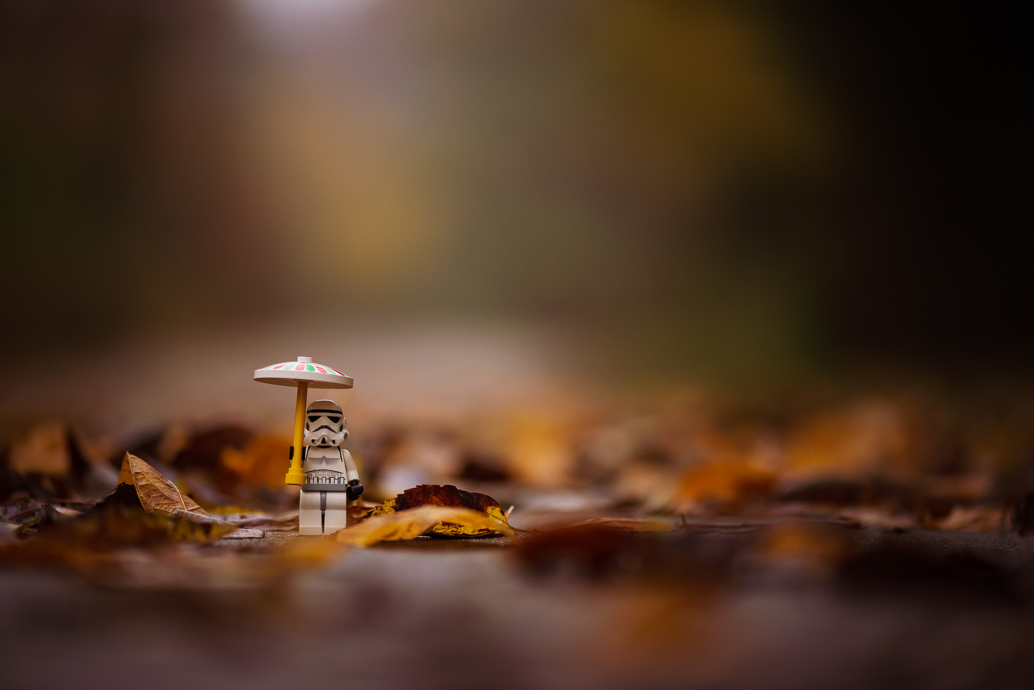 20181031-20181031-KMA_0637-2.jpg