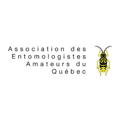Association des Entomologistes Amateurs du Québec