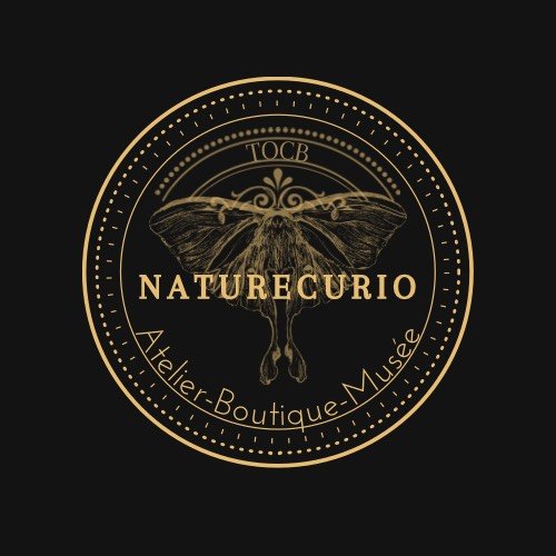 Naturecurio
