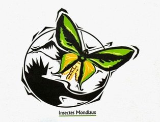 Marchand d’insectes naturalisés en ligne