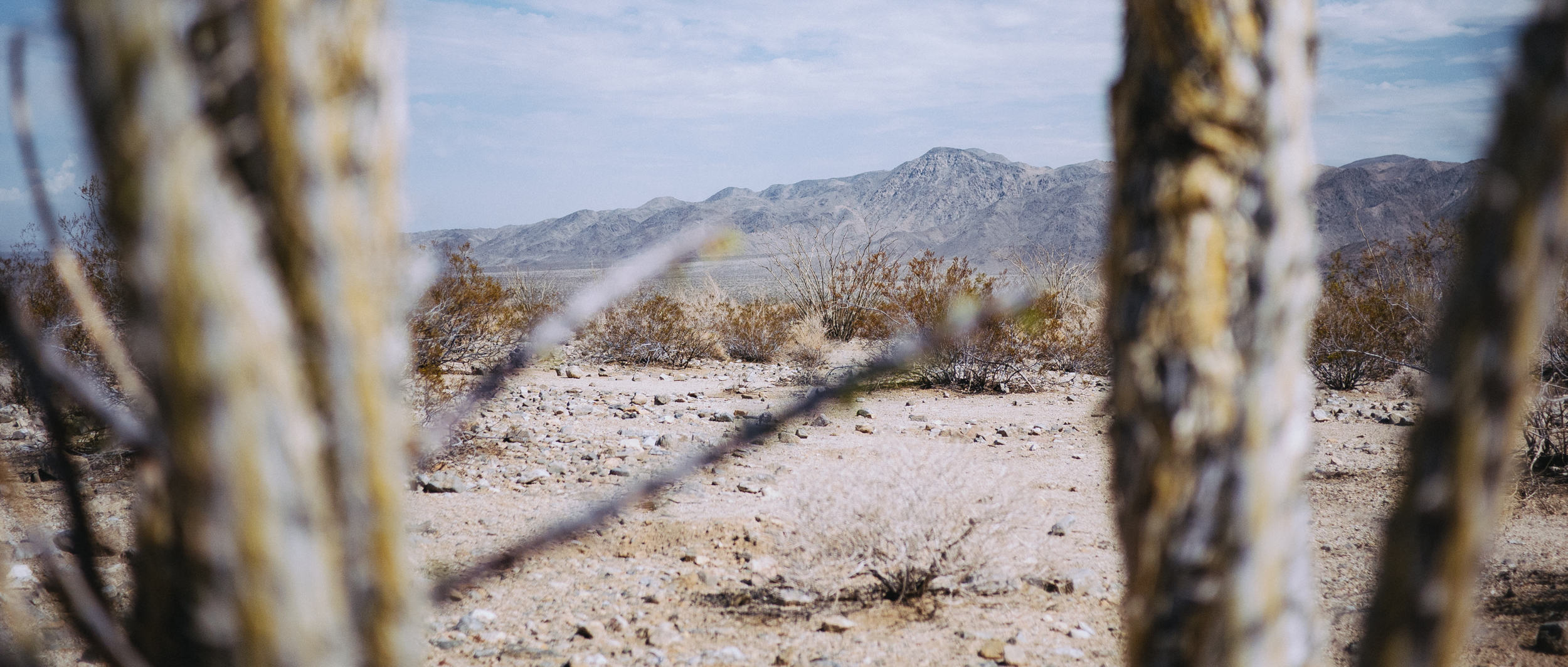 Looking out at the Hexie Mountains from the Ocotillo Patch