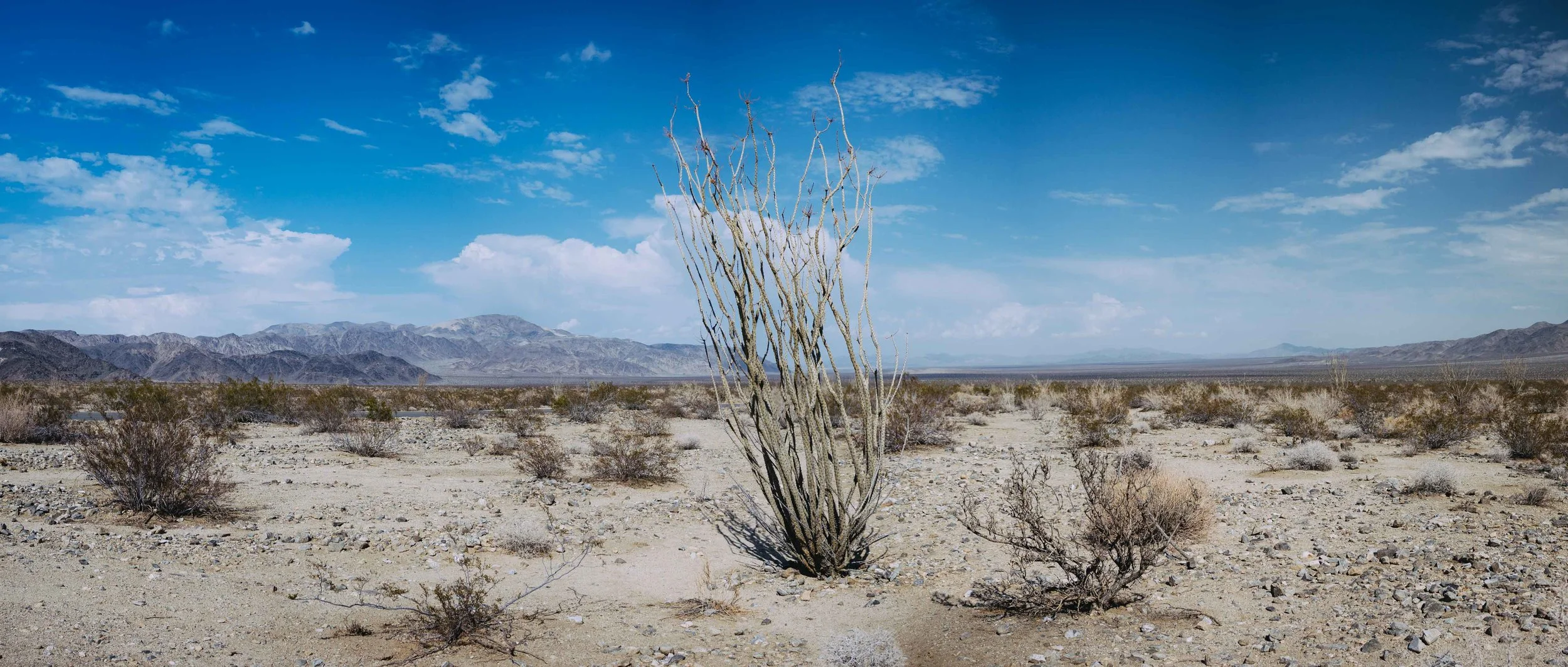 2014-07-09-_1150328-Pano-235x1.jpg