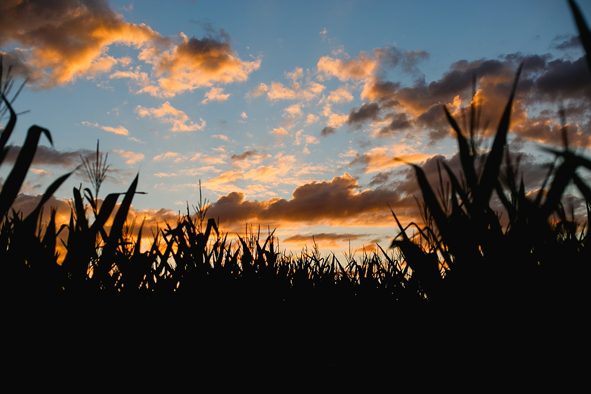 Brittany Conner Photography_0194.jpg