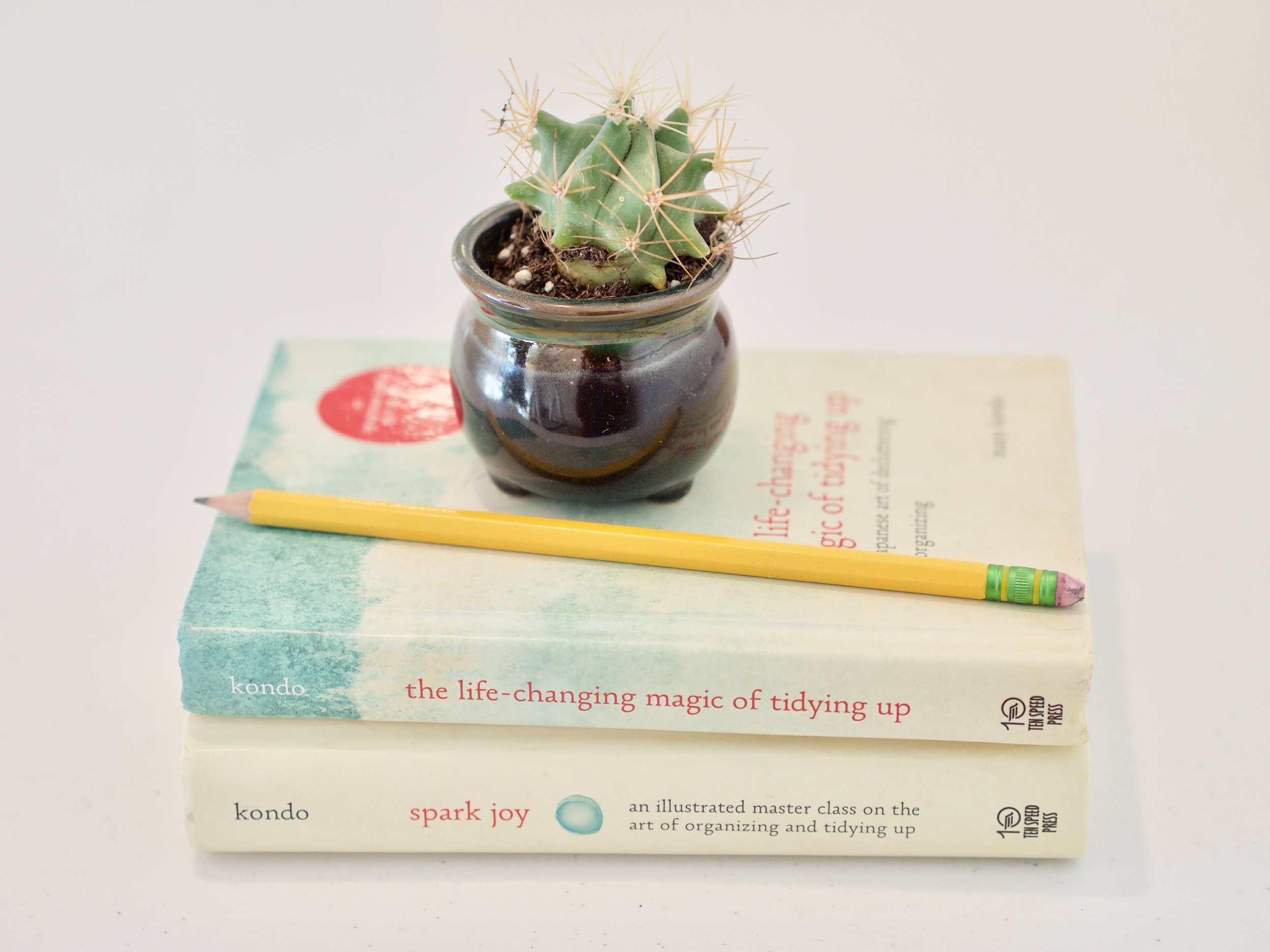 Kondo books.jpg