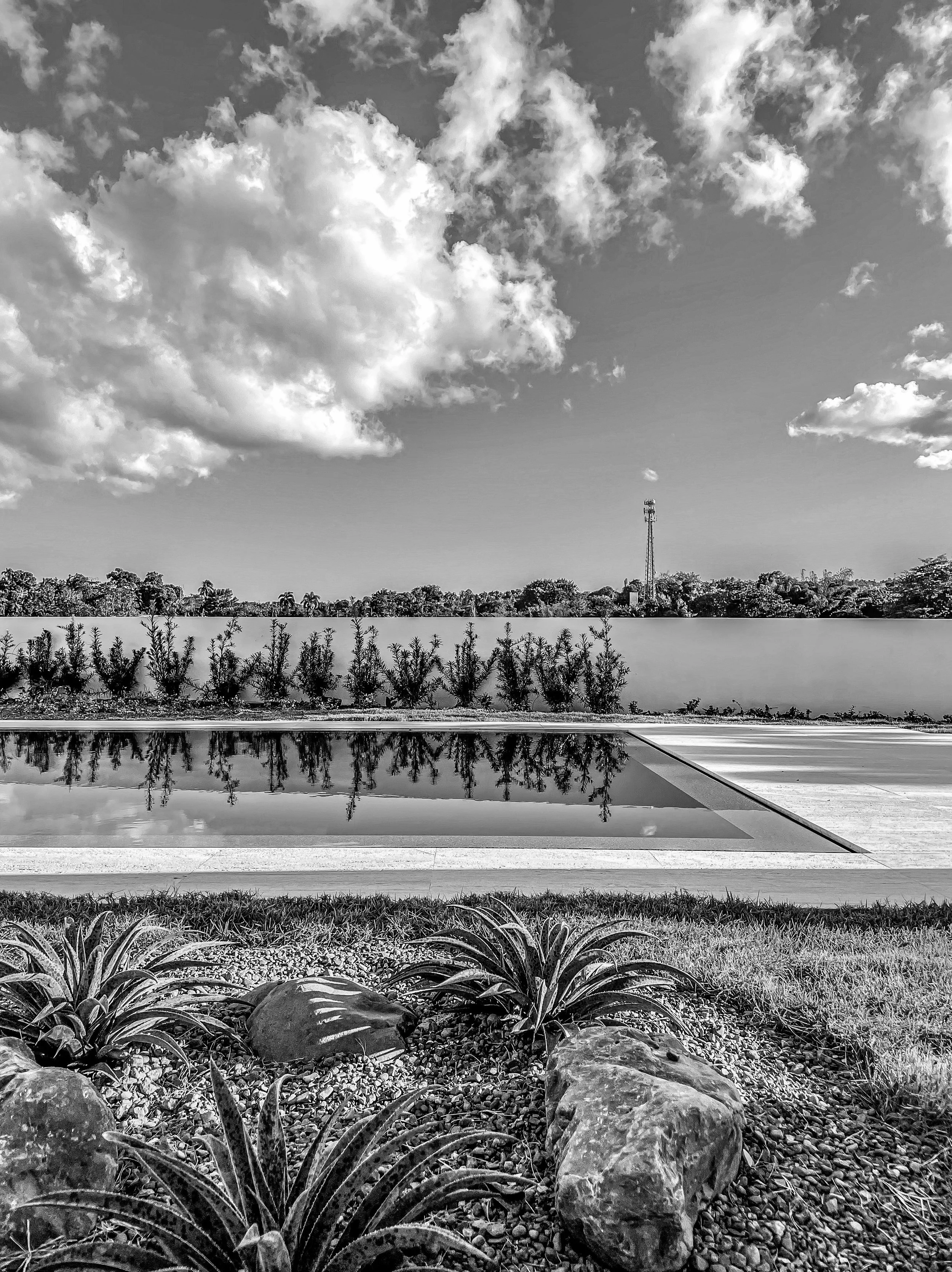 PSJ_E7_POOL & LANDSCAPE.jpg