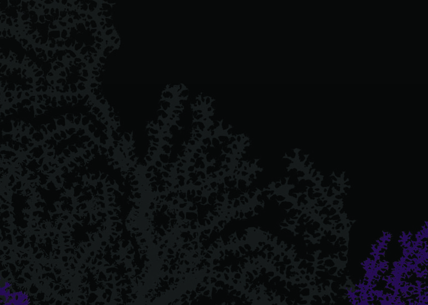 immersionthumbnailTEST.jpg