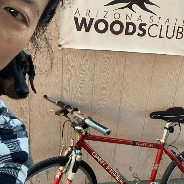 Hell has frozen over-I finally took my 1997 Gary Fisher Hoo Koo E Koo for a ride to the woodshop with Pepperonj strapped to my back! Pray for me now I have to make it back home😱 #sooutofshape #bikingwithdogs #garyfisher #minidoxie #asu #asuwood