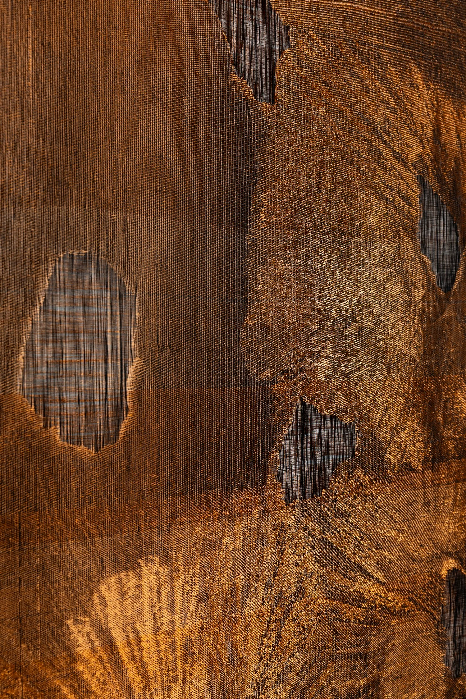 Sunspots No 1.2 _2026_0019.jpg