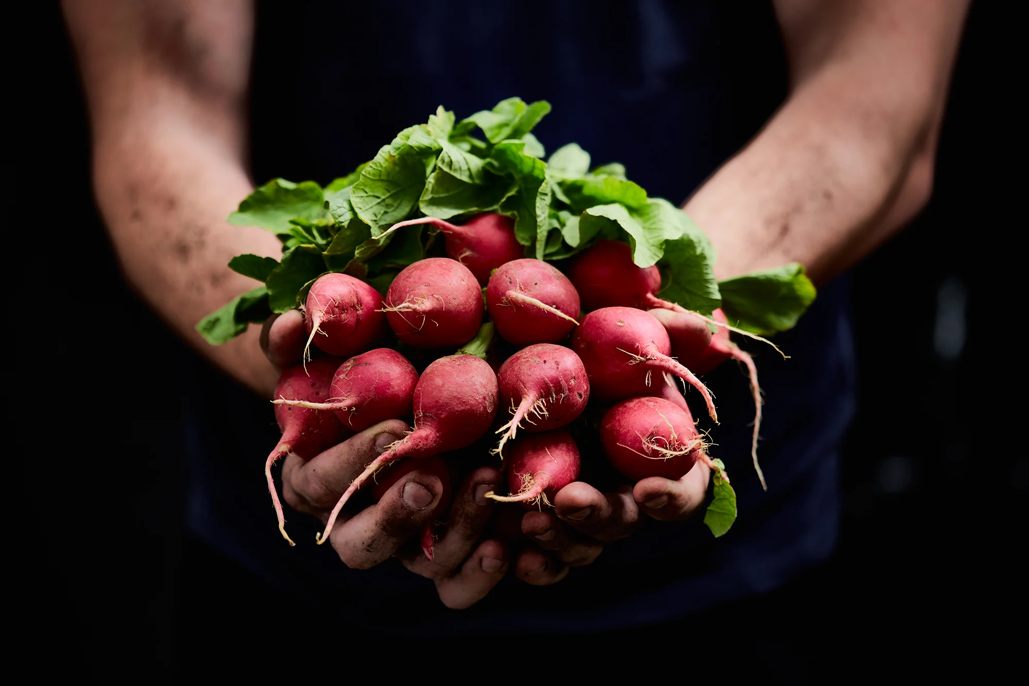 460_Shot_14_FarmerRadishes_332_HERO.jpg