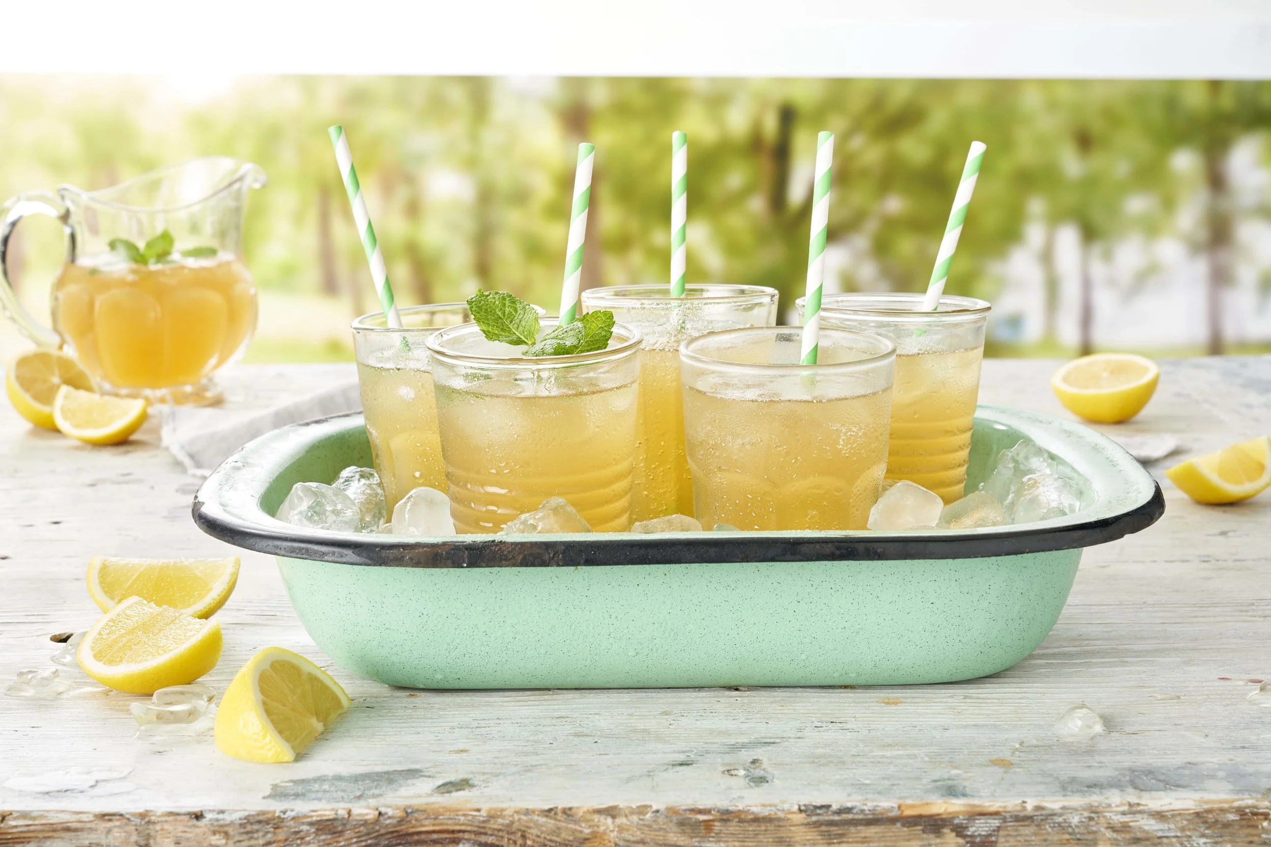 Kombucha_LoRes.jpg