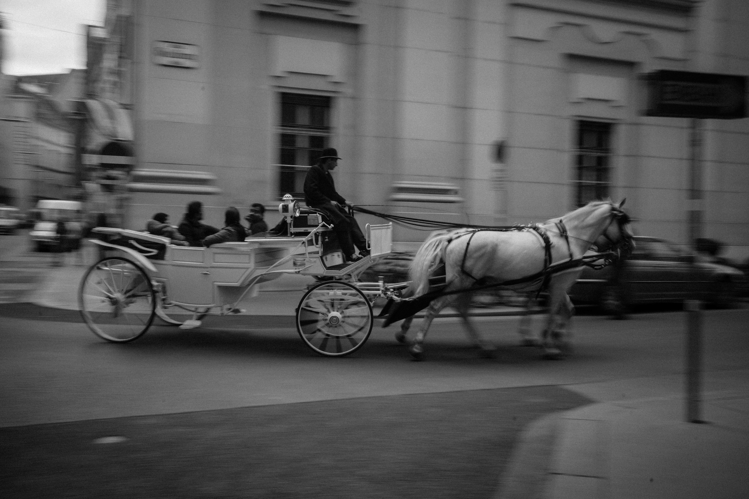 Vienna horse carriage