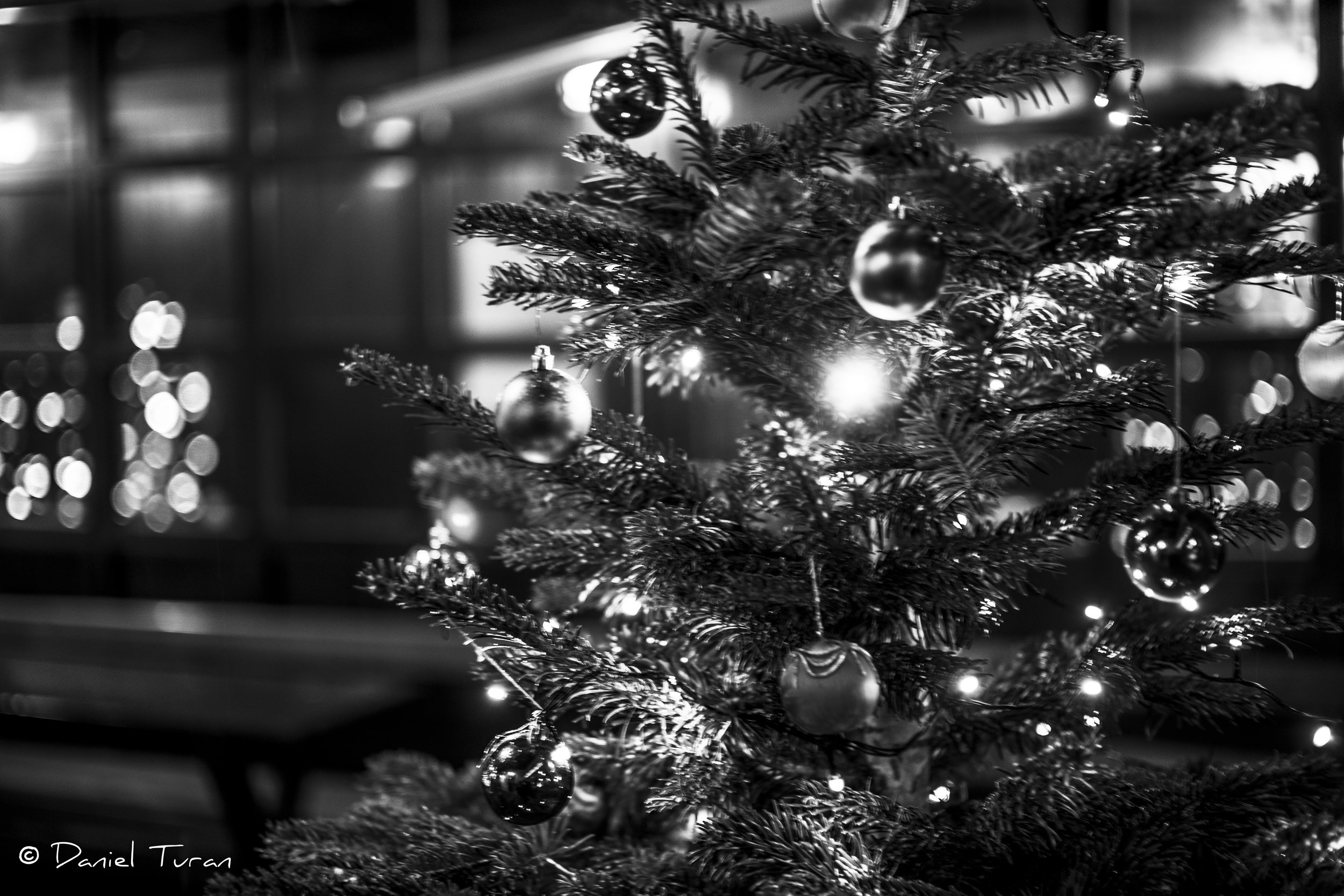 Winter night impressions-1-25.jpeg