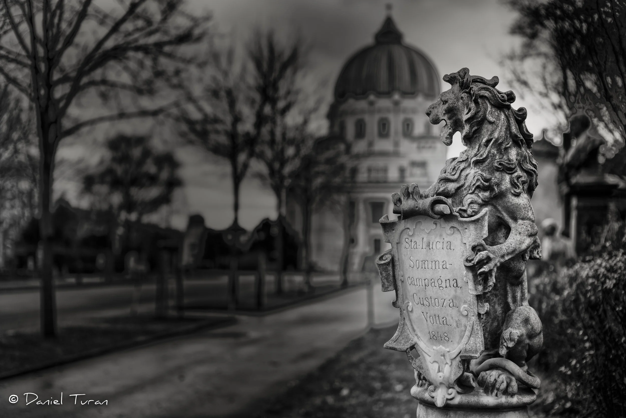 Vienna Zentralfriedhof-1-14.jpeg