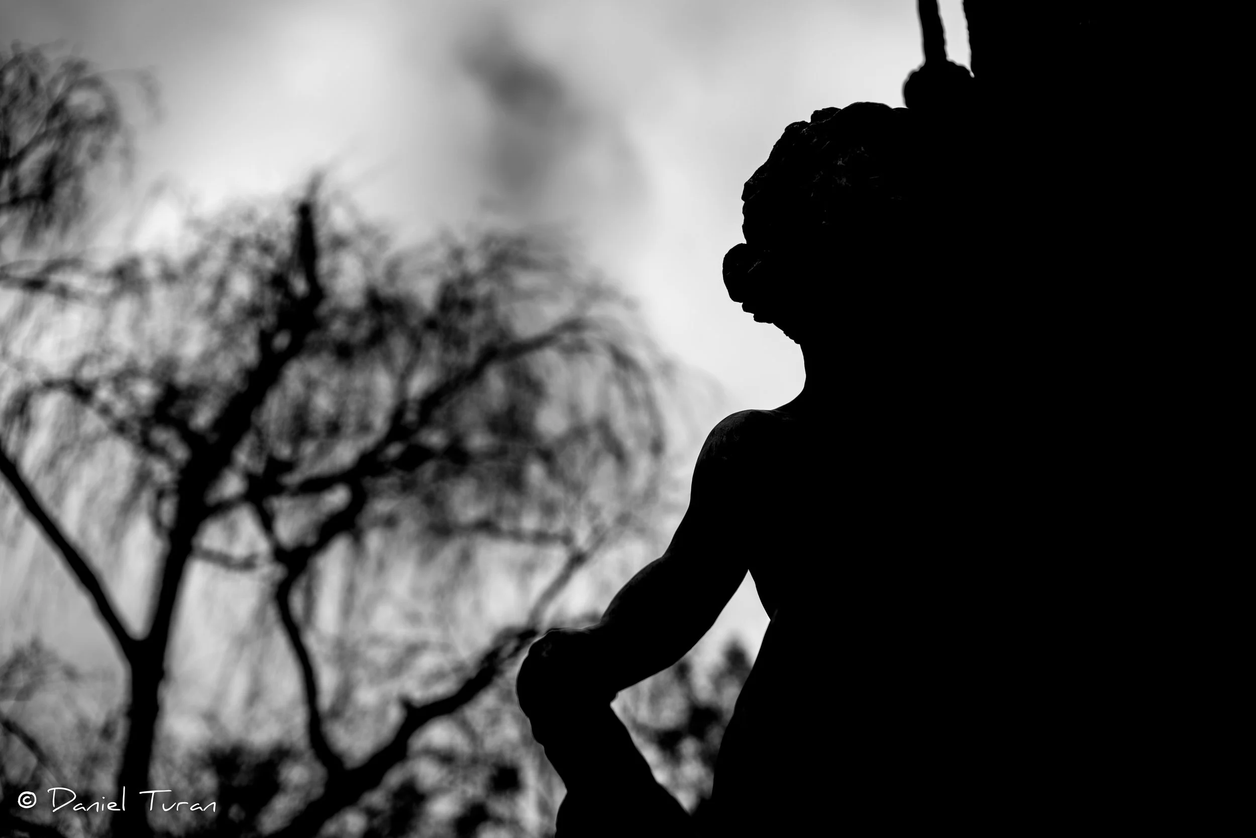 Vienna Zentralfriedhof-1-13.jpeg