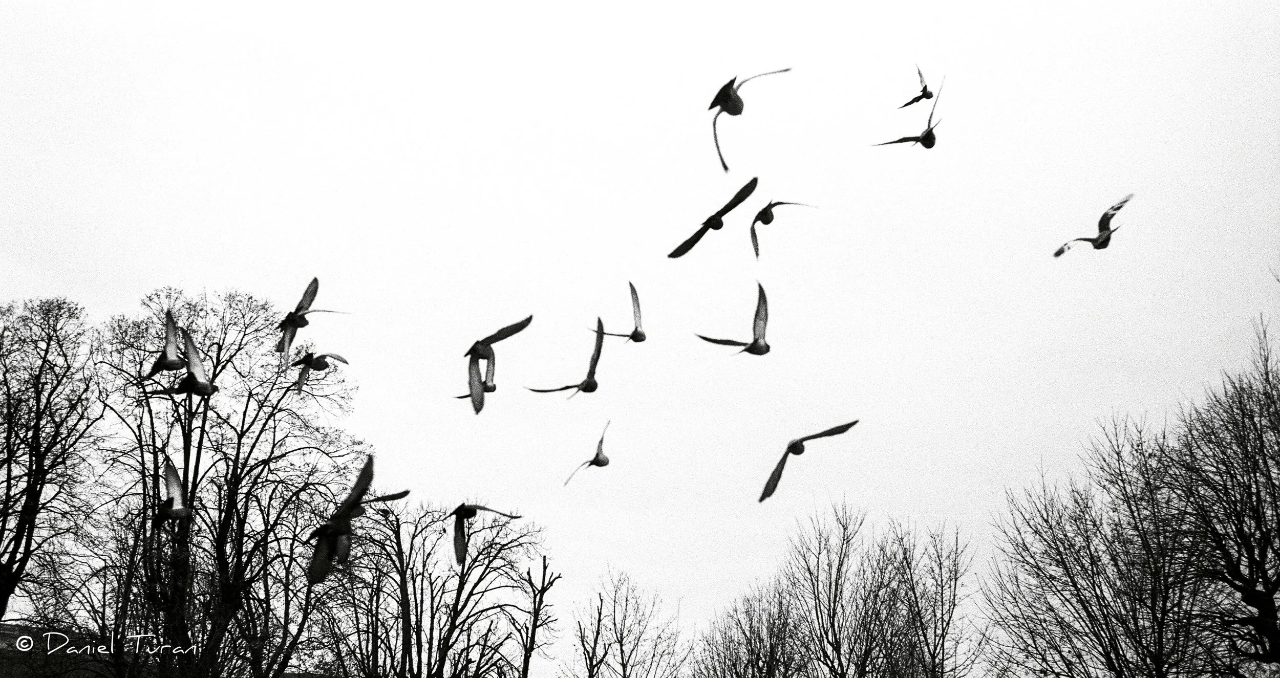 Vienna Rathausplatz-1-27.jpeg