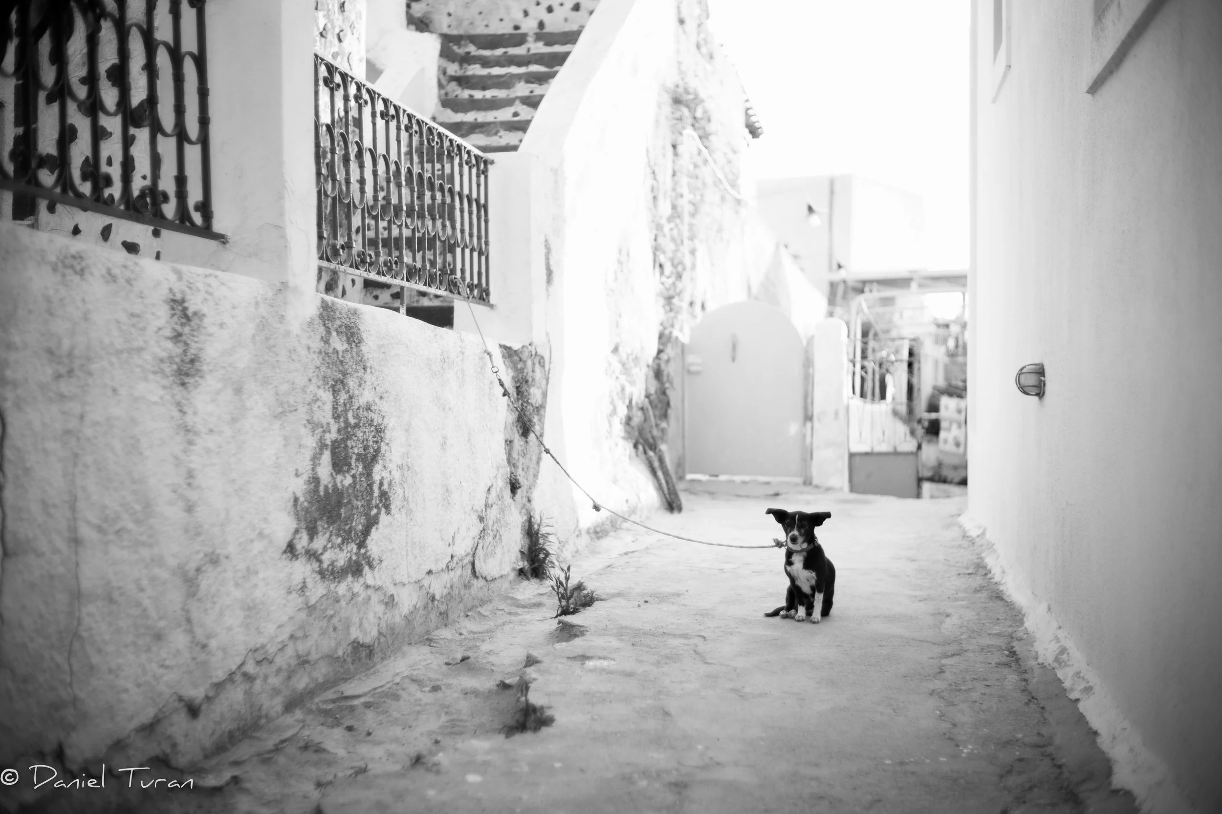 Santorini_Random (1 of 1)-27.jpeg