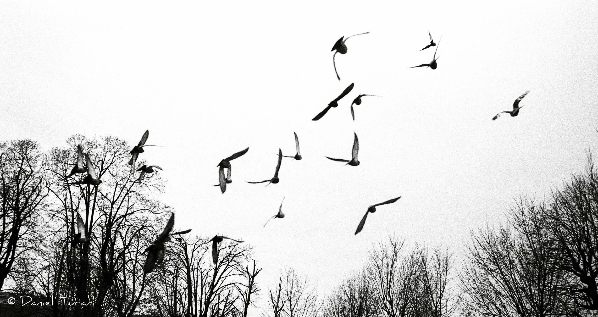 Vienna Rathausplatz-1-27.jpeg