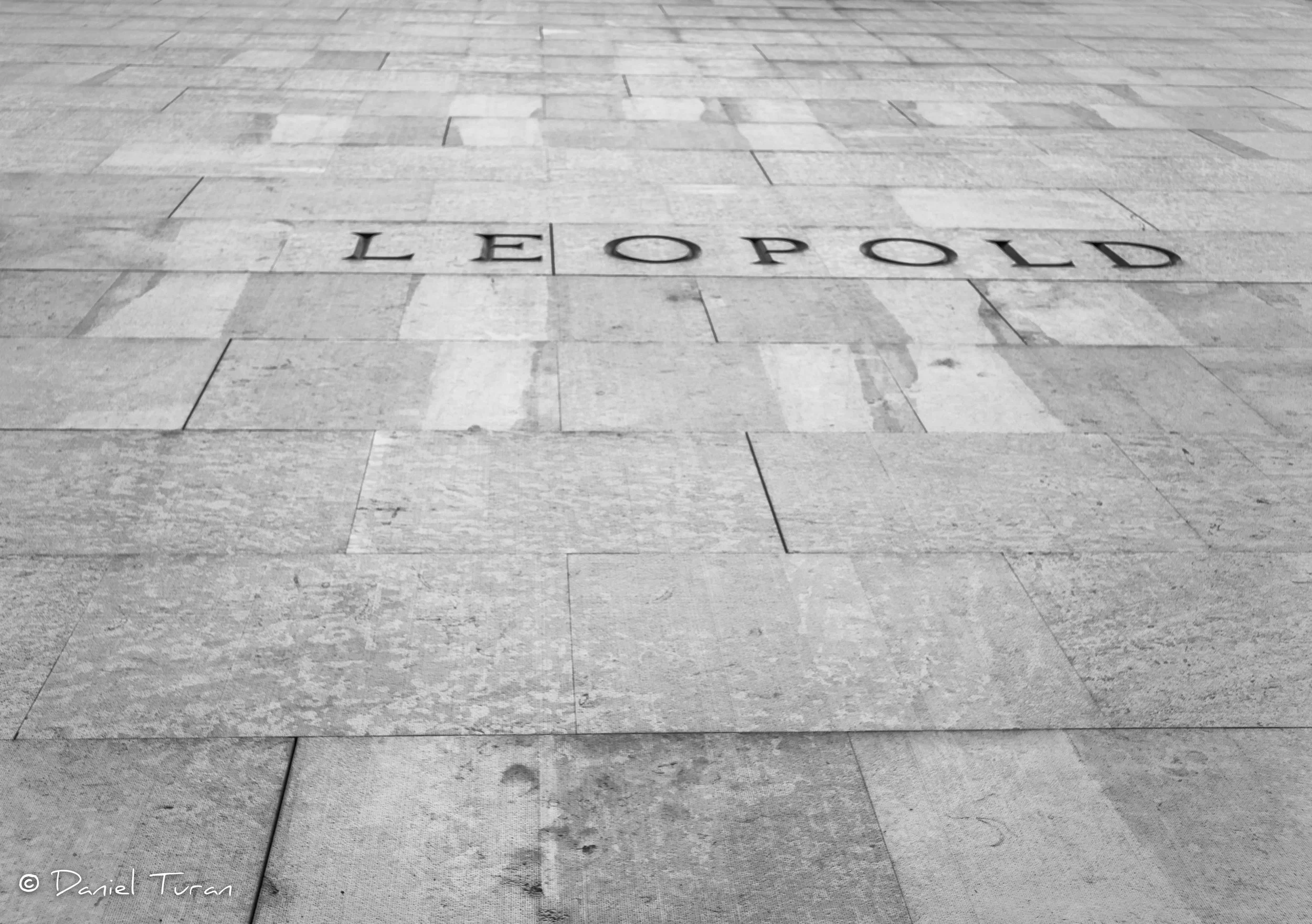 Vienna June 2016-1-8 (1).jpeg