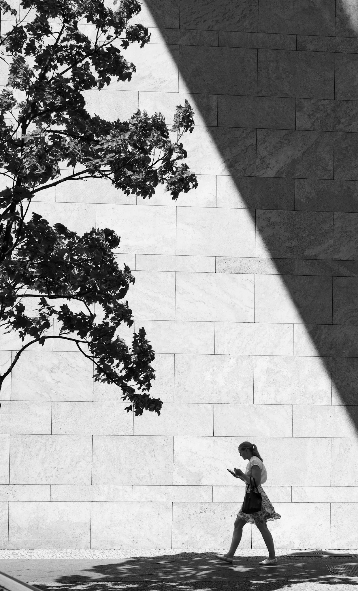 L1000969.jpg