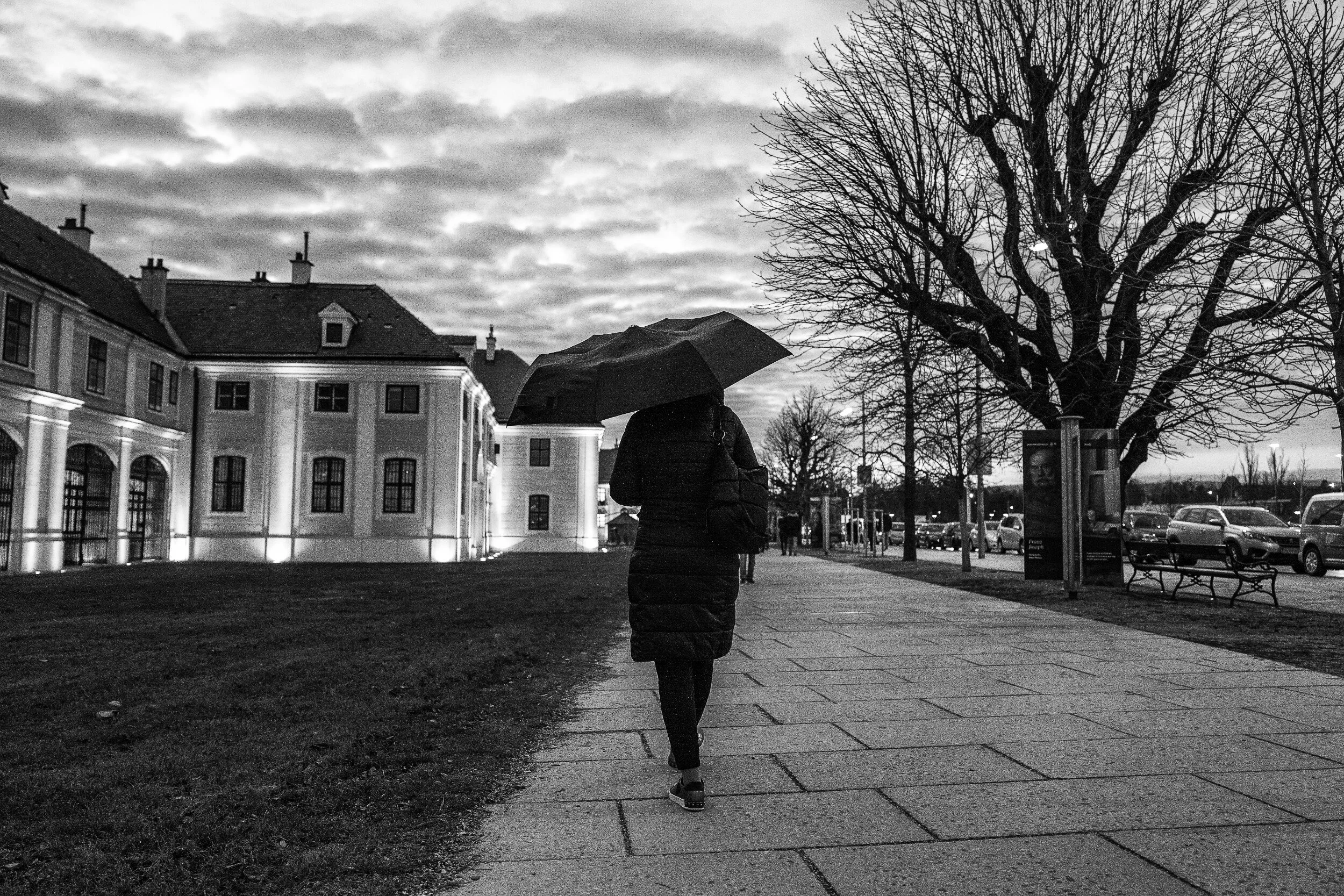 Schoenbrunn winters