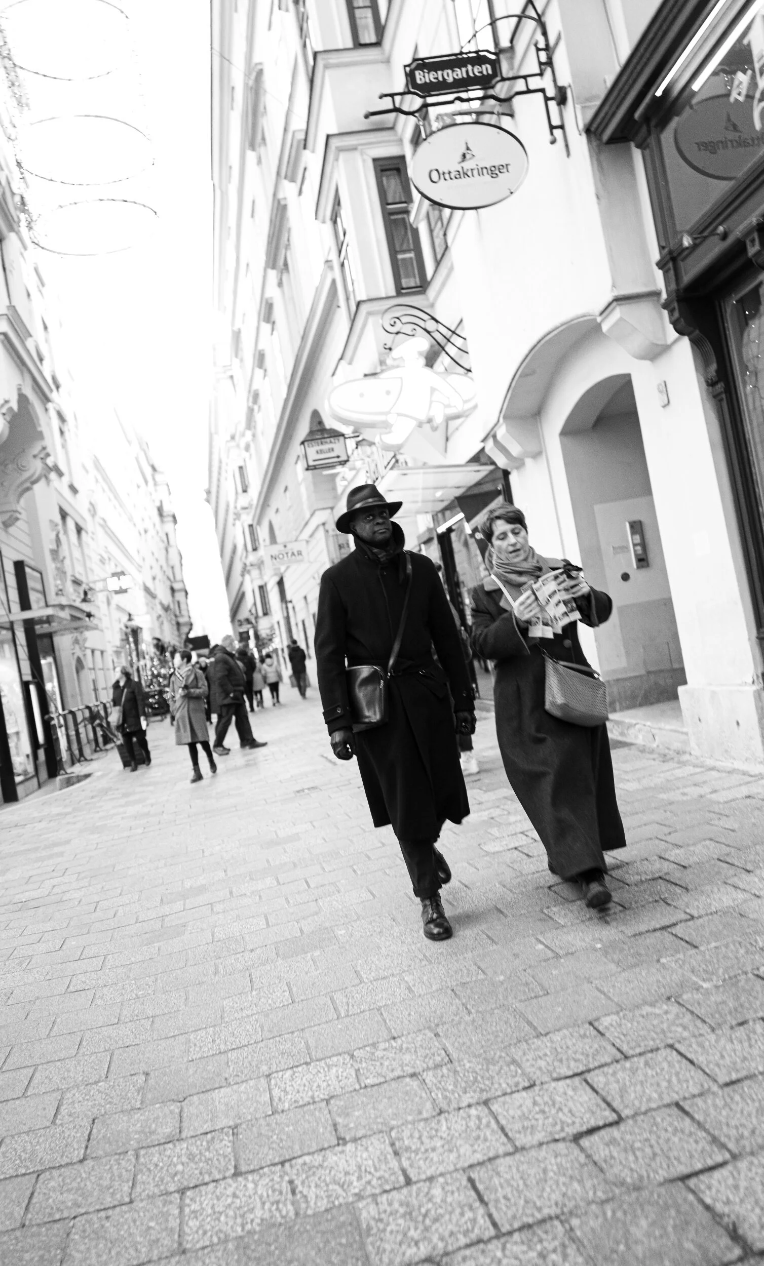 processed_Vienna_town-1-4.jpg