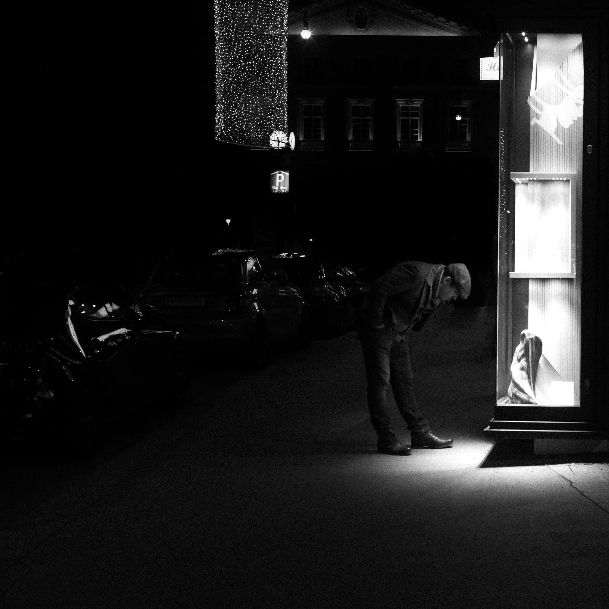 Vienna window shopping