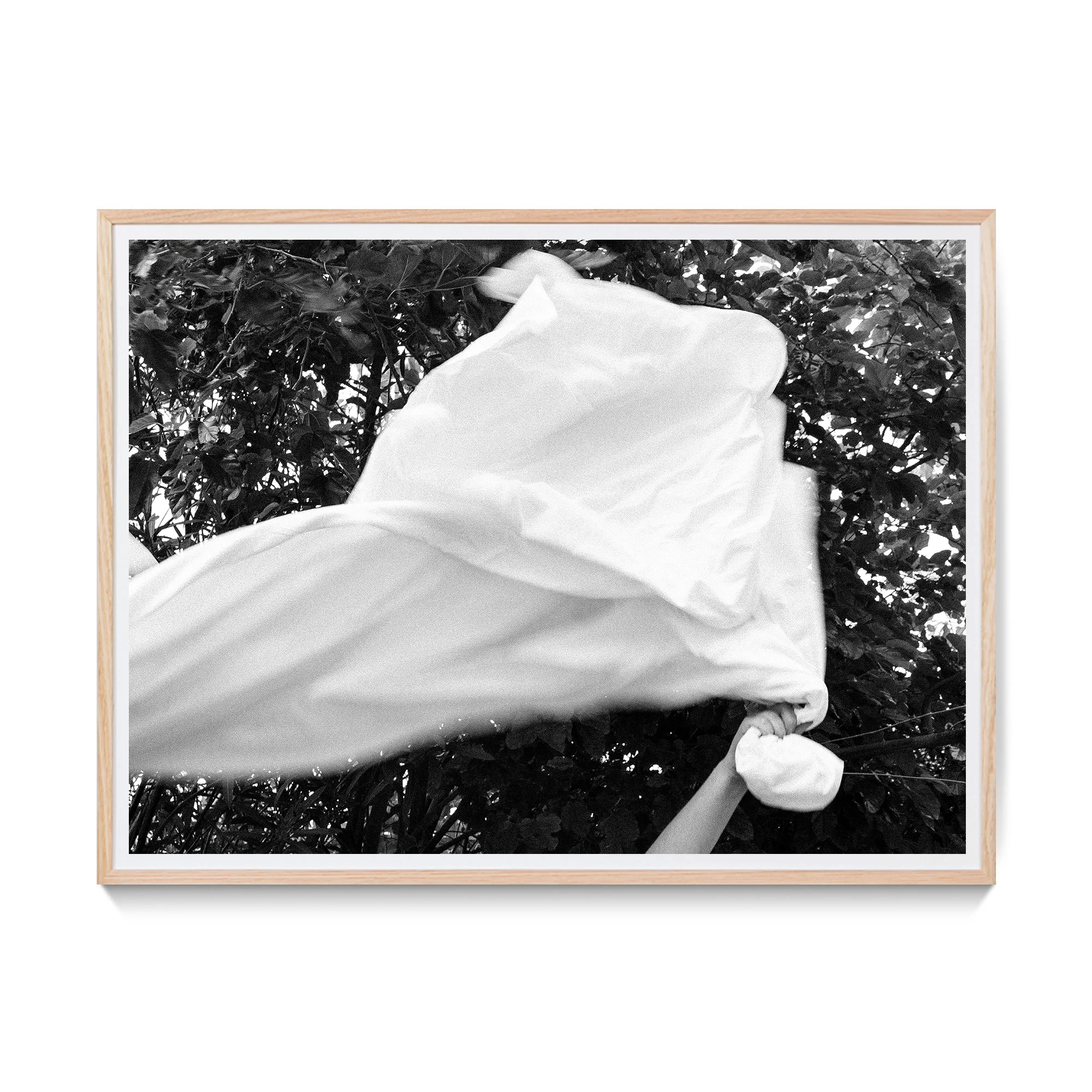 White Flag — Surrender
