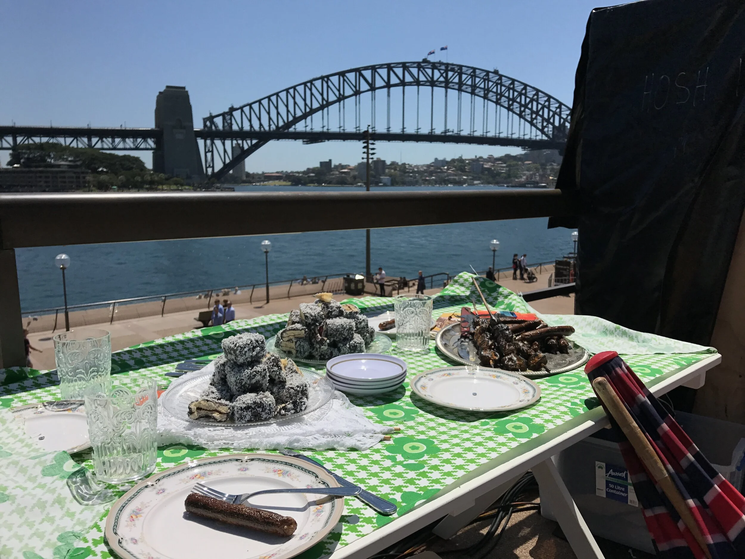 Aussie Props with a lovely view