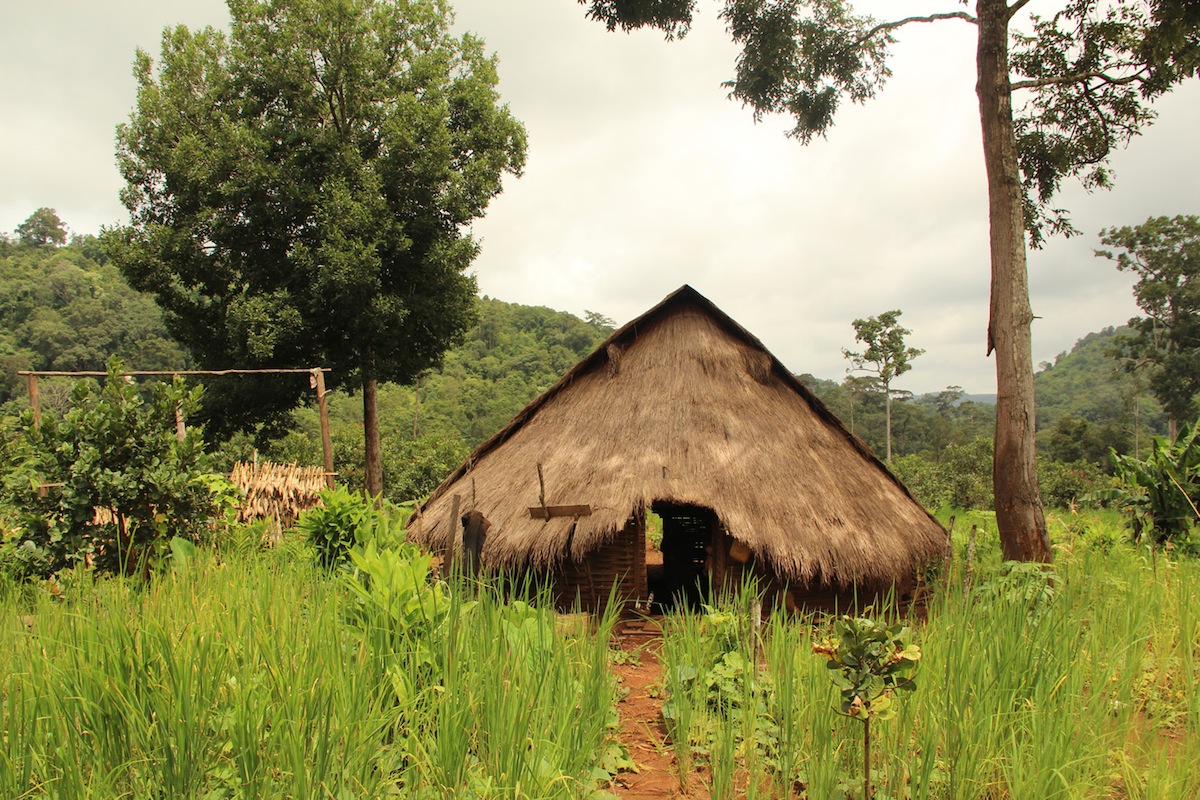 La casa di un mahout