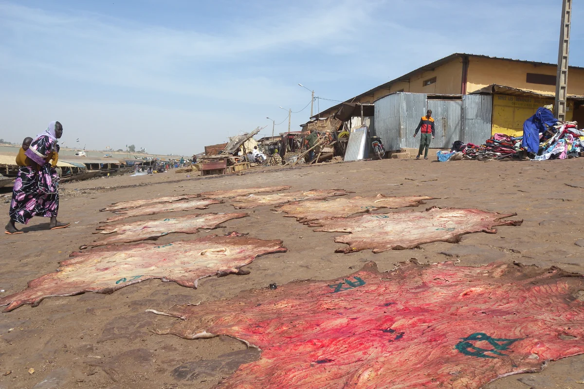 Mopti