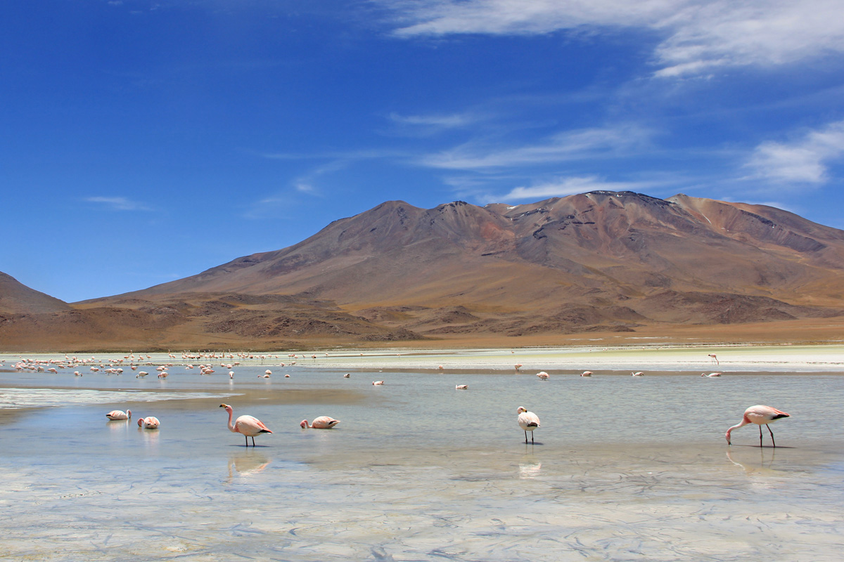 Laguna Hedionda