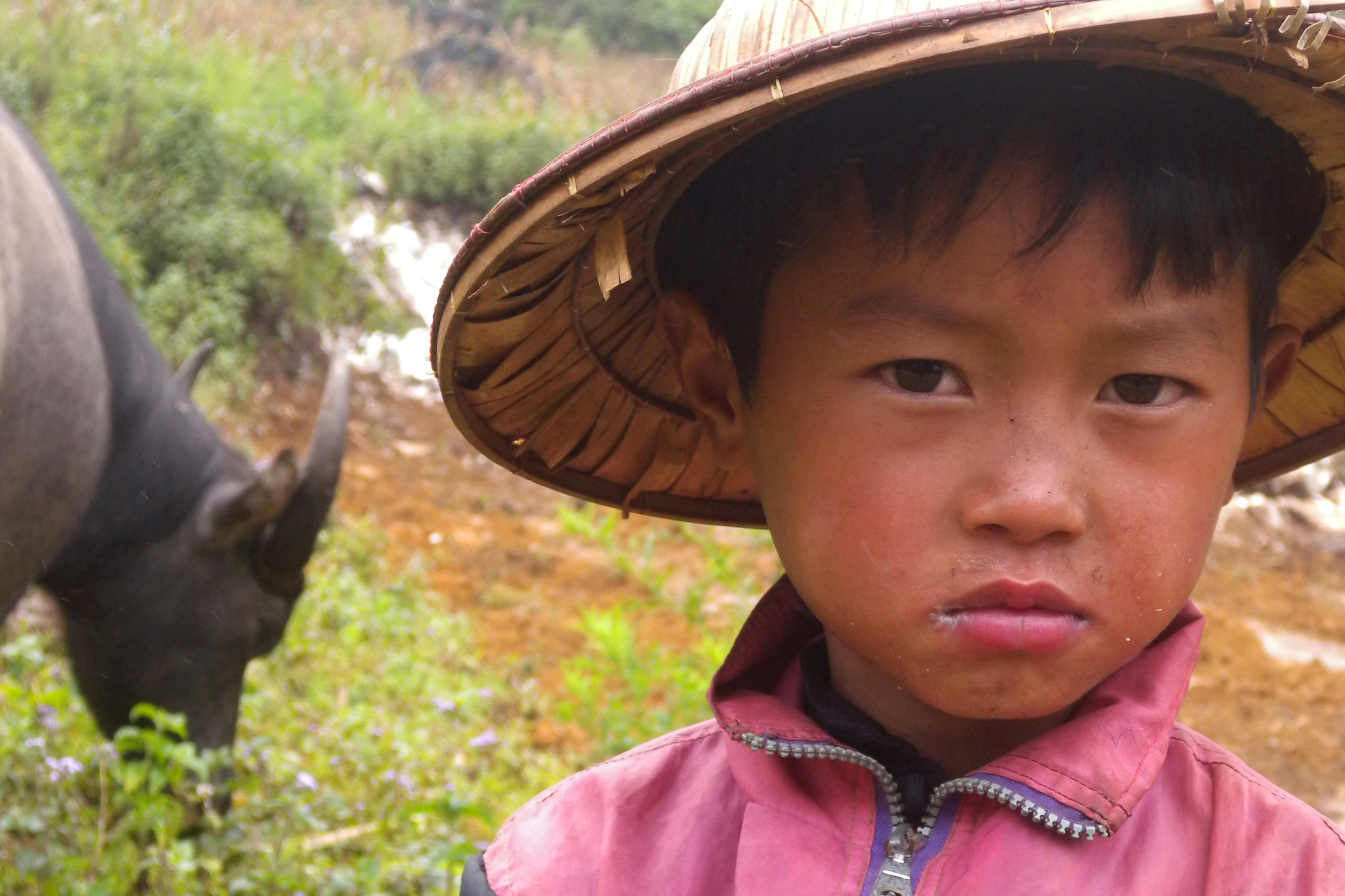 Sapa