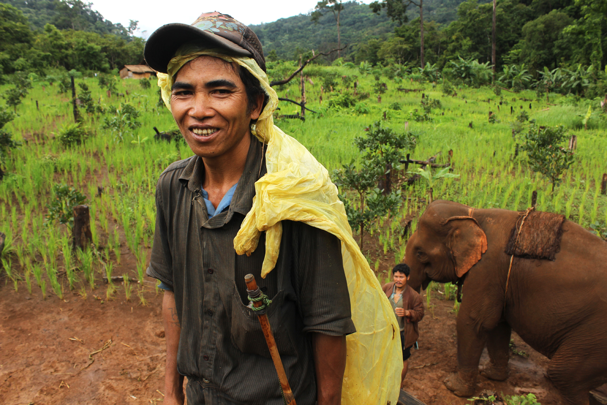 Il mahout Aong