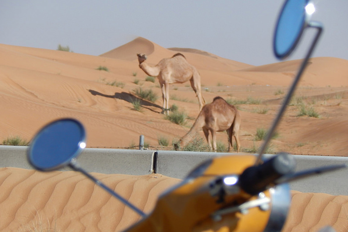 Emirati Arabi Uniti (f oto di Luca Capocchiano)