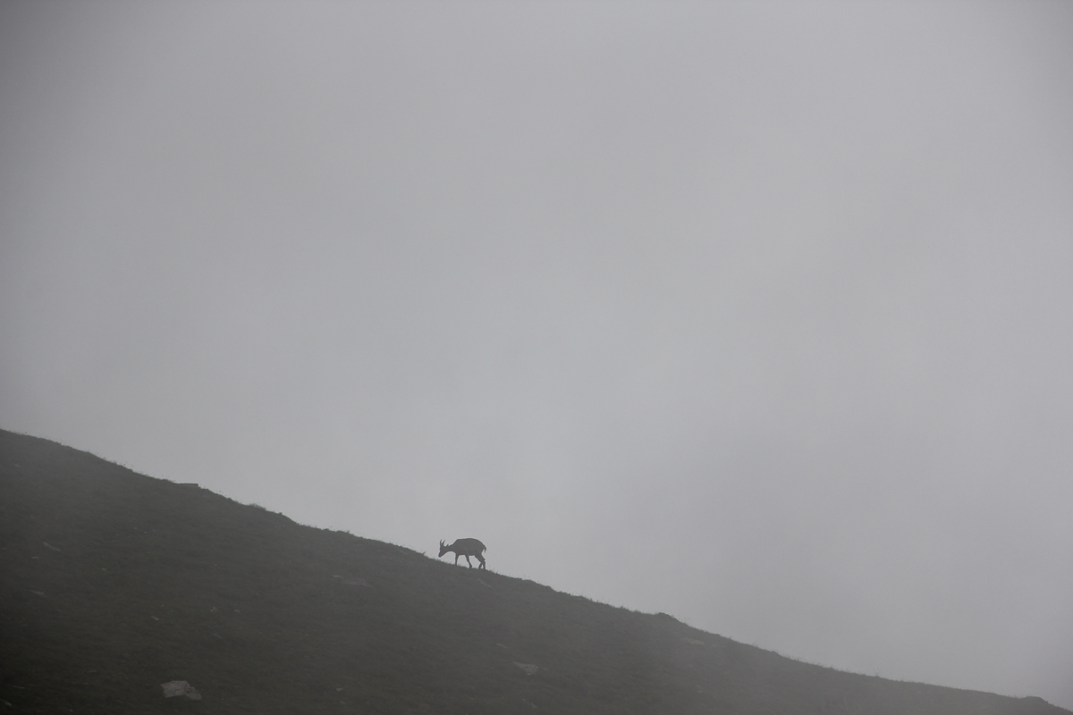 Vicino al Passo delle Traversette