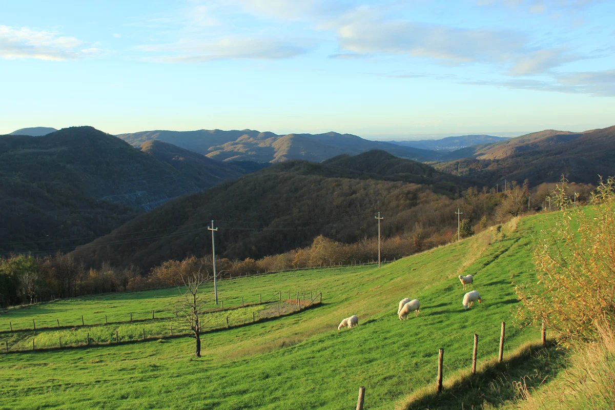 Normal
0


14


false
false
false

IT
JA
X-NONE

 
 
 
 
 
 
 
 
 
 


 
 
 
 
 
 
 
 
 
 
 


 <w:LatentStyles DefLockedState="false" DefUnhideWhenUsed="true"
DefSemiHidden="true" DefQFormat="false" DefPriority="99"
LatentStyleCount="276">…