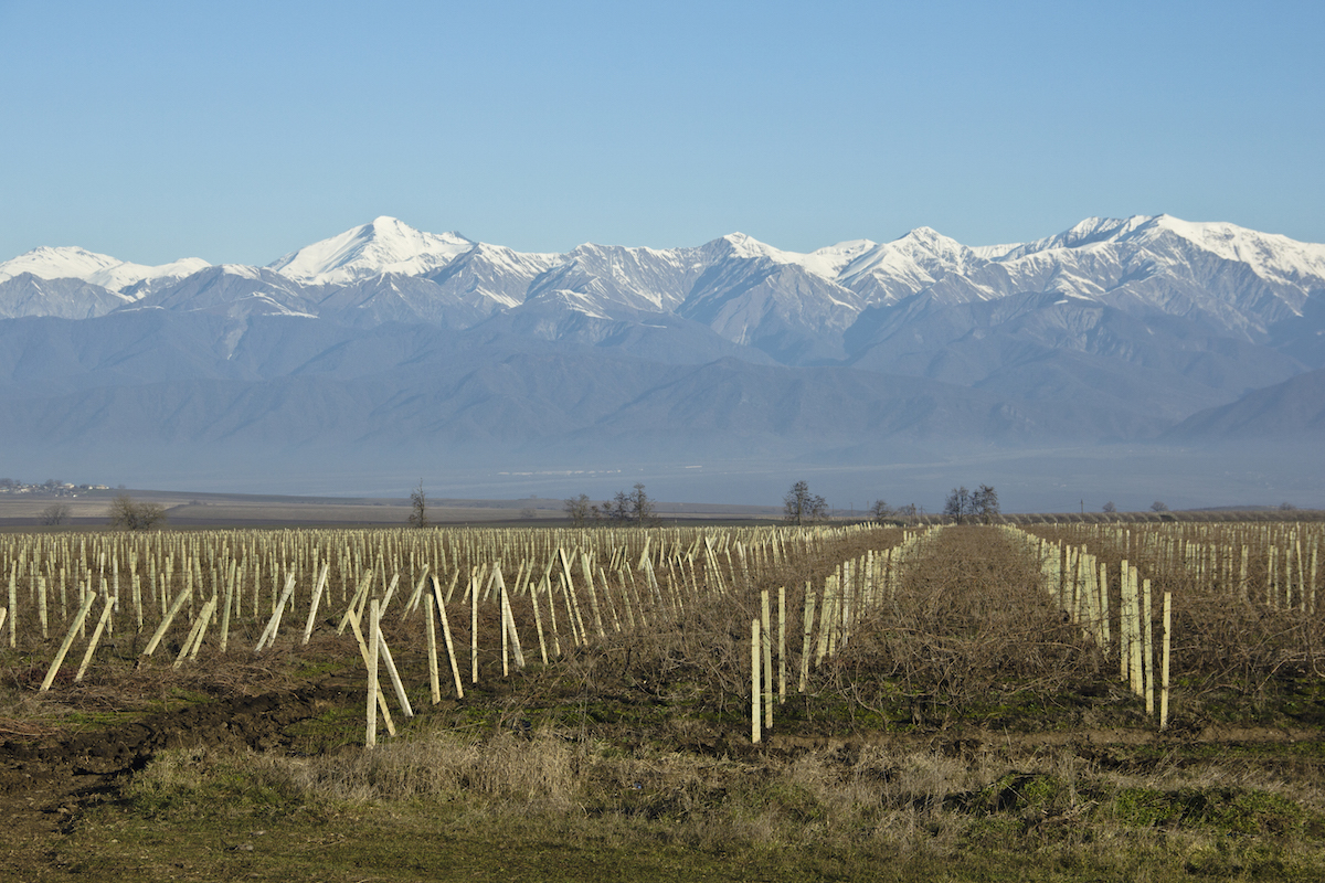 I campi di Ivanovka