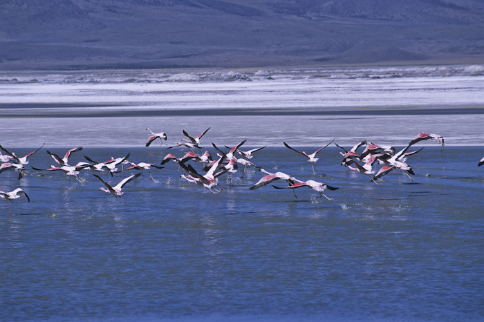 Bolivia, foto di Mario Verin
